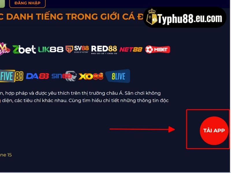 Ảnh minh họa phần hướng dẫn tải Typhu88 trên thiết bị